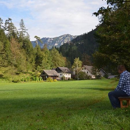 The Farmhouse Bevsek Osep Solčava Zewnętrze zdjęcie