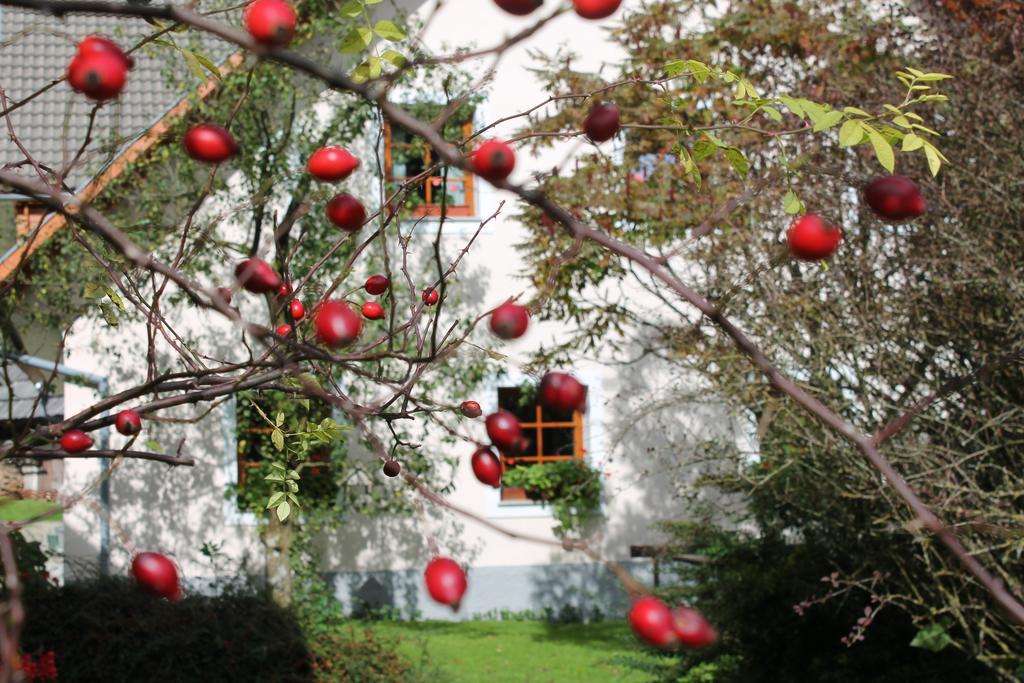 The Farmhouse Bevsek Osep Solčava Zewnętrze zdjęcie