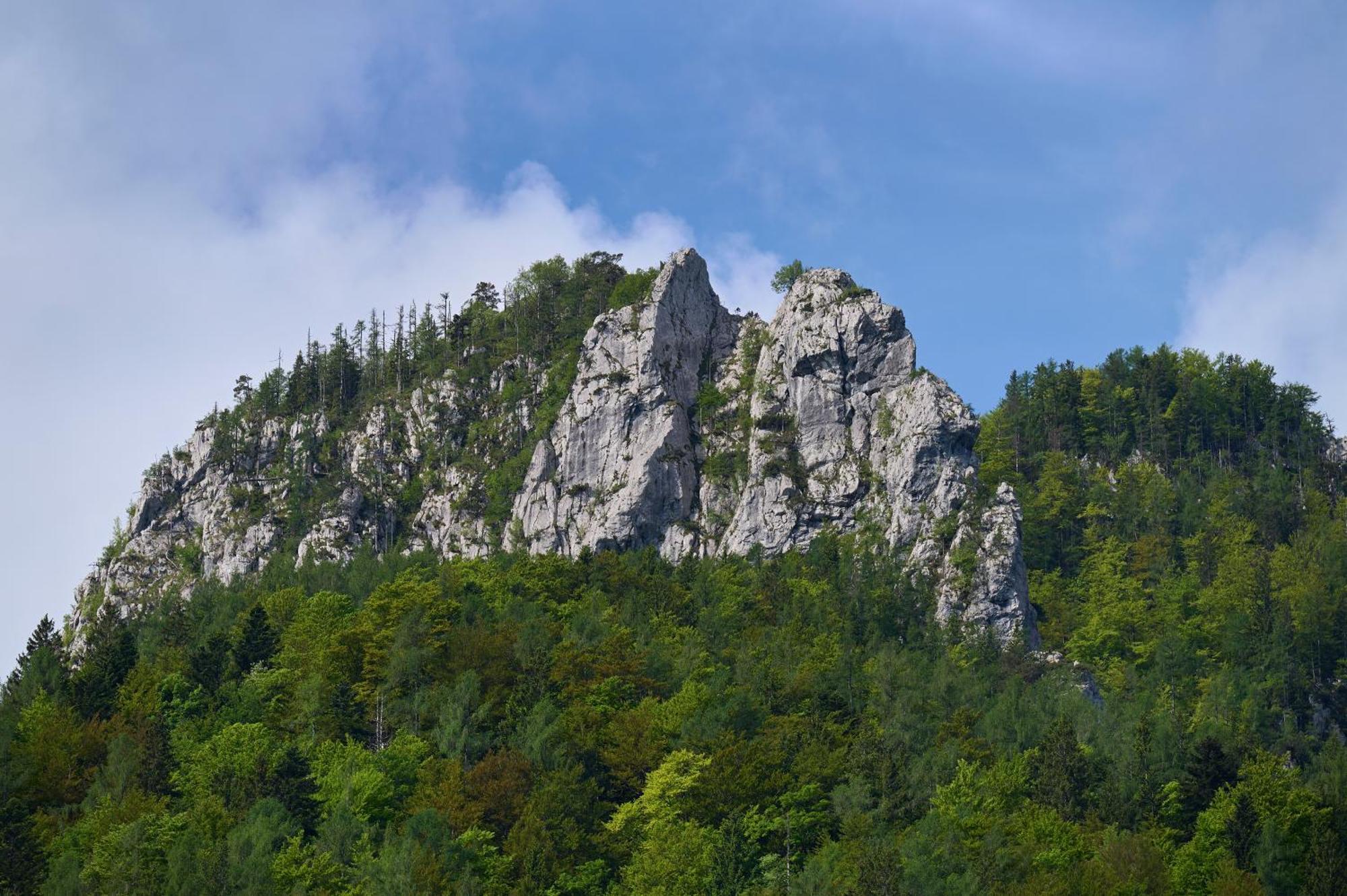 The Farmhouse Bevsek Osep Solčava Zewnętrze zdjęcie