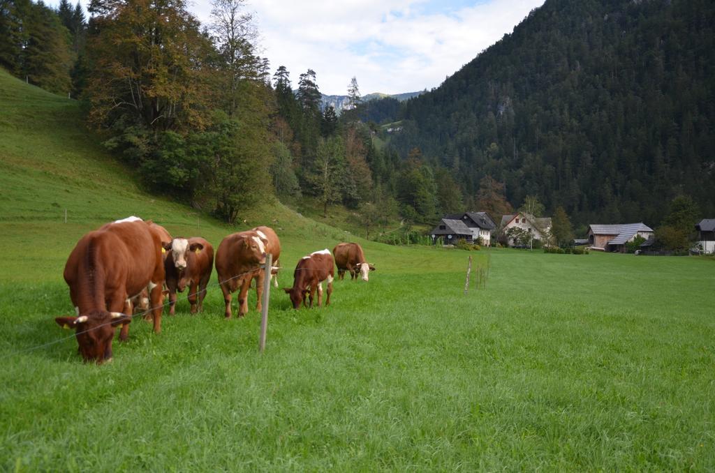 The Farmhouse Bevsek Osep Solčava Zewnętrze zdjęcie