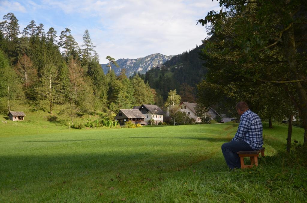 The Farmhouse Bevsek Osep Solčava Zewnętrze zdjęcie