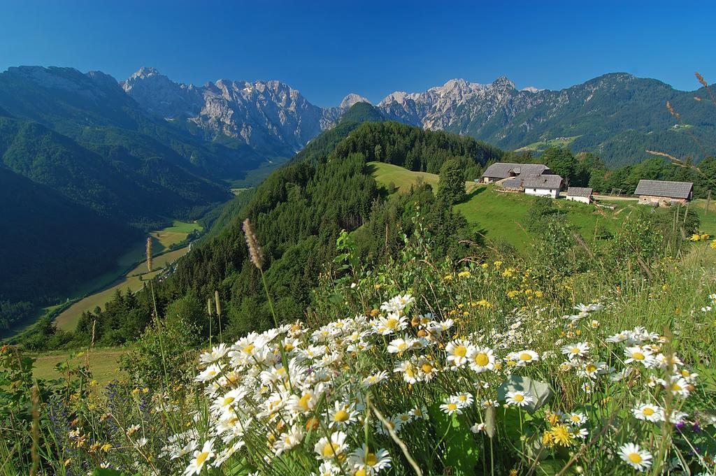 The Farmhouse Bevsek Osep Solčava Zewnętrze zdjęcie